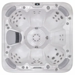 Libra Hot Tub for Sale in Depew